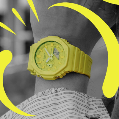 Montre G-Shock, Tone on Tone GA-2100-9A9ER - Casio G-Shock